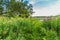 Overflow areas river Waal with flood plains and banks