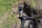 Overflow and infiltration well connected to drainage pipes, buried in a pit covered with stones.