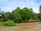 Overflow in Tortuguero , Costa Rica.