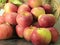 Overflowing basket of red, juicy, delicious apples