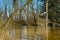 Overflowing creek in spring after heavy rain