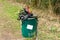 Overflowing Dog Waste Bin