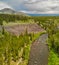 Overflying beautiful Yellowstone river with mountain landscape, Wyoming