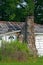 Overgrown Abandoned House