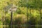 Overgrown abandoned wooden house on lake coast