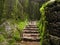 Overgrown ancient Indian fort