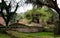 Overgrown ancient ruins in Olympia Greece with moss covered rocks and ivy covered trees