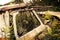 Overgrown Antique Abandoned Pickup Truck