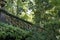 Overgrown bridge railing on sao miguel island