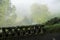 Overgrown bridge railing on sao miguel island