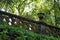 Overgrown bridge railing on sao miguel island