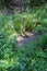 Overgrown Broken Footbridge