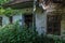 overgrown building in a forest with tall plants