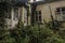 overgrown building with plants in a forest