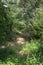 Overgrown and dried out rainwater retention pond in Summer