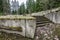 overgrown entrance with stairs