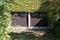 Overgrown family house driveway leading to two wooden garage doors with small cat doors mounted on left at abandoned house