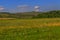 The overgrown field in the foothills.