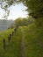 Overgrown field path