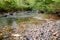 Overgrown forest stream at Loch Lomond and The Trossachs National Park Argyll and Bute Scotland UK