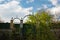 Overgrown gate with an Orthodox cross