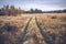 Overgrown with grass track in an autumn field