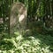 Overgrown grave stone in a cemetery