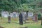 Overgrown graves Tavistock graveyard