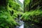 overgrown hot spring in a lush valley