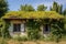 overgrown ivy covering part of a french hipped roof house