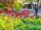 Overgrown outdoor fence on sunny autumn day