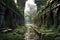 overgrown pathways leading to a forgotten city