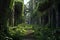 overgrown pathways leading to a forgotten city