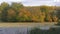 Overgrown pond in sunny day