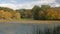 Overgrown pond in wildlife in autumn