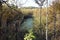 Overgrown pool in the forest wilderness