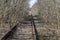 Overgrown Rail Track