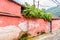 Overgrown red, weathered house exterior, Central America