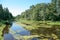 Overgrown river in summer with duckweed, algae and reflection of trees.