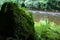 Overgrown rock next to the river.