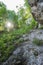 Overgrown rocks with trees and grass, bright sunshine