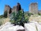 Overgrown ruins of an ancient castle, Saint-Montan, South of France