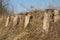 Overgrown ruins in the forest. old abandoned construction