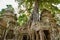 Overgrown ruins on Ta Prohm Temple, Angkor, Siem Reap, Cambodia. Big roots over the walls of a temple.