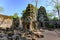 Overgrown ruins on Ta Prohm Temple, Angkor, Siem Reap, Cambodia. Big roots over the walls of a temple.