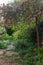 Overgrown, secluded, messy suburban garden with crazy paving path, cherry blossom tree, shrubs, flowers and greenery.