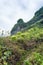 overgrown slope of karst mountain in Yangshuo