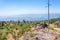 Overgrown slope and old hardened lava of Etna