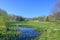 Overgrown small pond on golf course