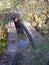 Overgrown small water channel in Andalusia